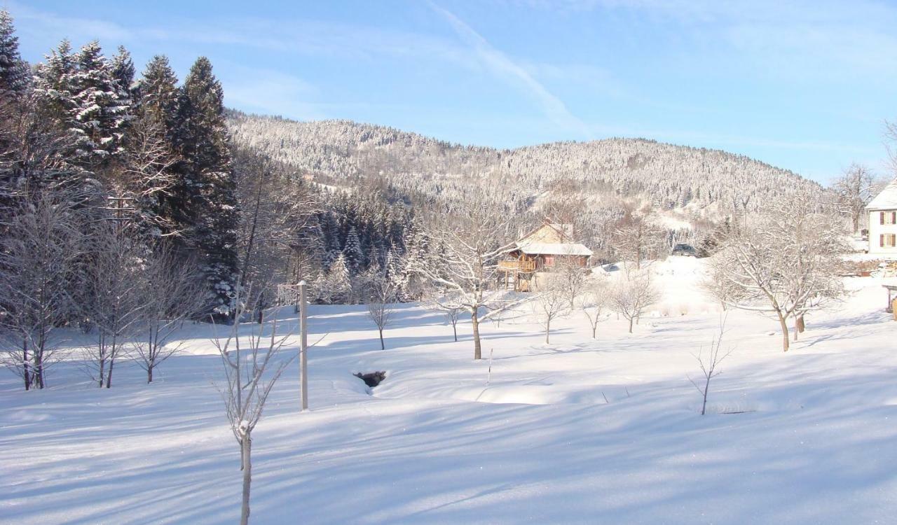 Chalet Notre Retraite Ventron Extérieur photo